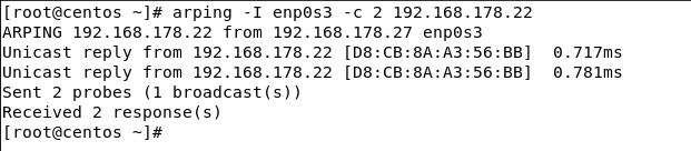 specify network interface using arping option