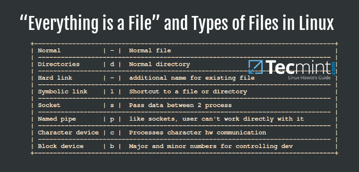 Everything is a File and Types of Files in Linux
