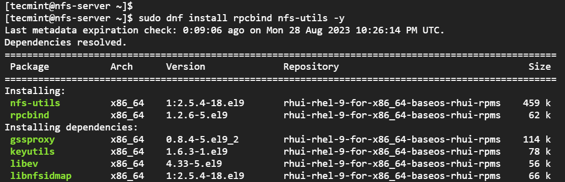 Install NFS in Linux