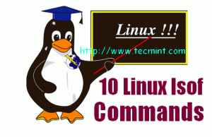 10 lsof (List of Open Files) Command Examples in Linux