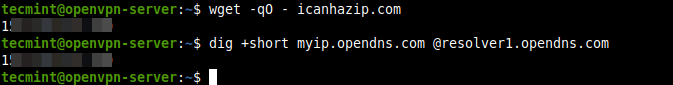 How To Install OpenVPN in Ubuntu 22.04/Ubuntu 20.04