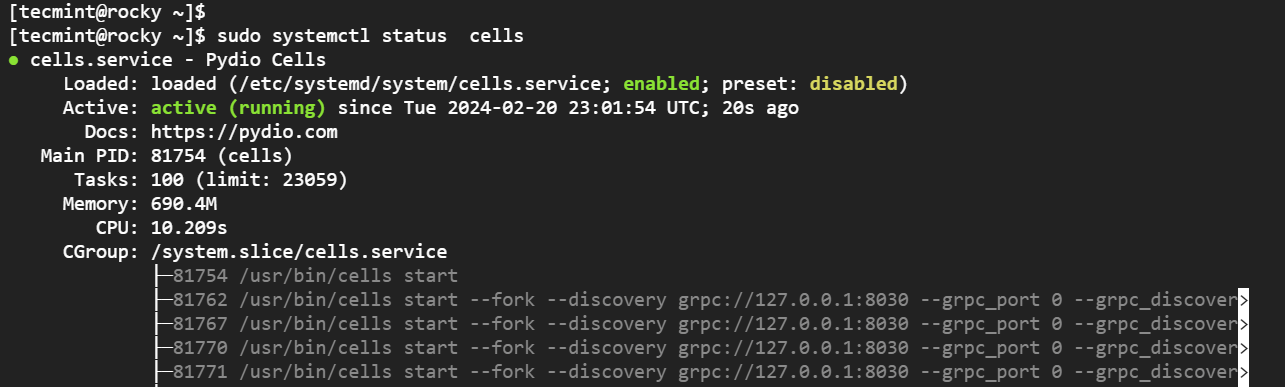 Check Pydio Cells Status