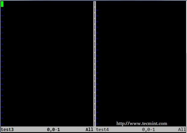 Launch Vim Editor in Vertical Windows