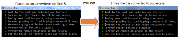 Change String to Uppercase in Vim Editor