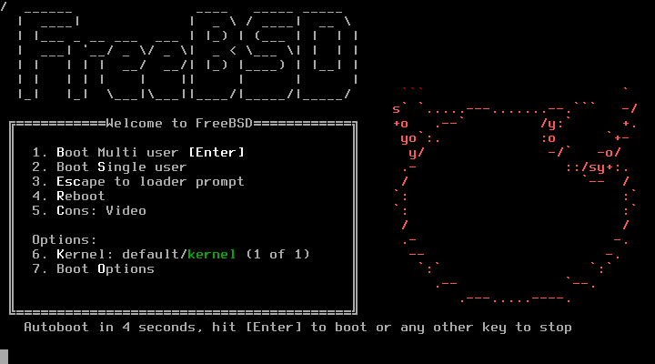 How to Install FreeBSD 14.0 with Static IP Address