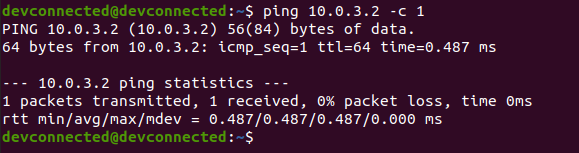 ping command successful